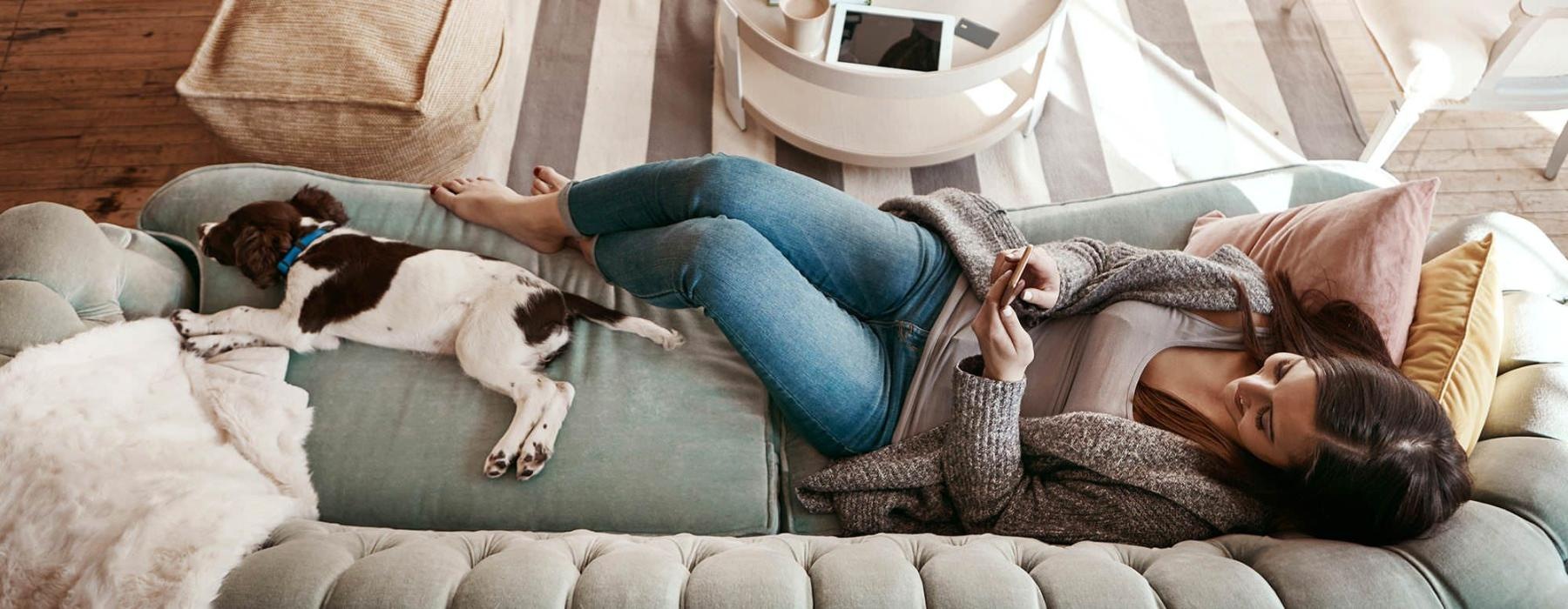 overhead view of  a woman texting as she lies on a couch with a dog at her feet